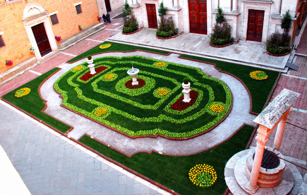 6) pienza e i fiori 2014